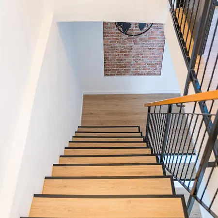 Oasis New Daire Pula